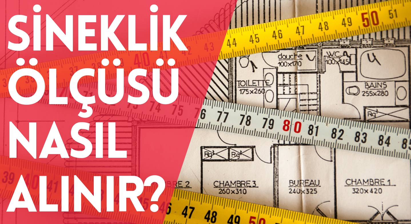 Sineklik Ölçüsü Nasıl Alınır?
